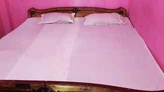 Hotel Maharaj, Rajgir 2